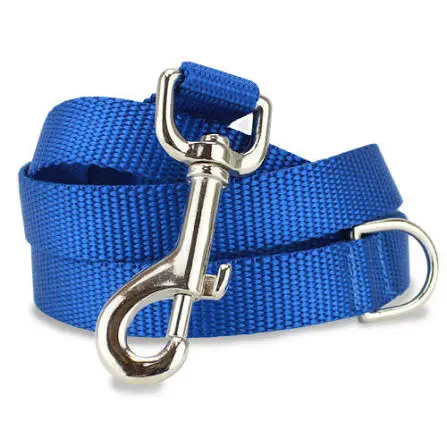 Nylon webbing dog leash